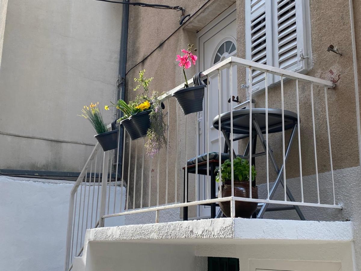 Apartments Calla Makarska Zewnętrze zdjęcie